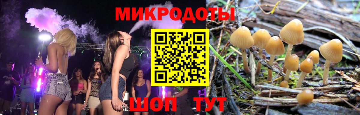 Псилоцибиновые грибы Cubensis  Вход с VPN  Тула 